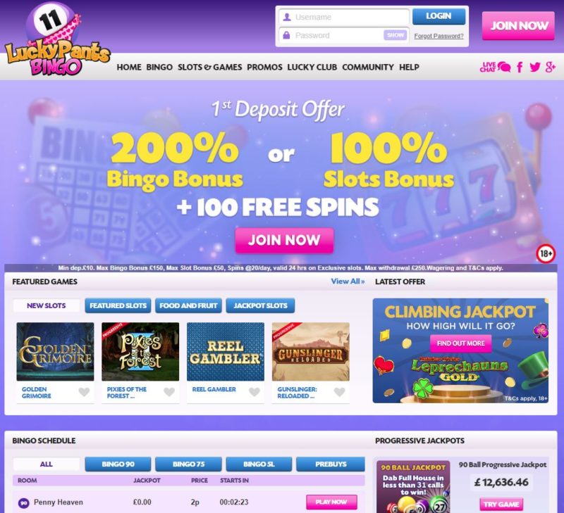 lucky-pants-bingo-review-the-top-place-to-play-bingo-and-slots