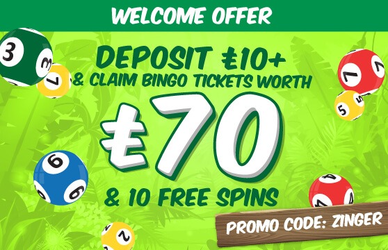 Zinger Bingo welcome offer