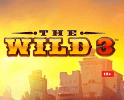 The Wild 3 slot review