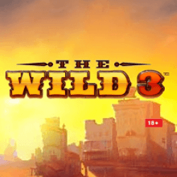 The Wild 3 slot review